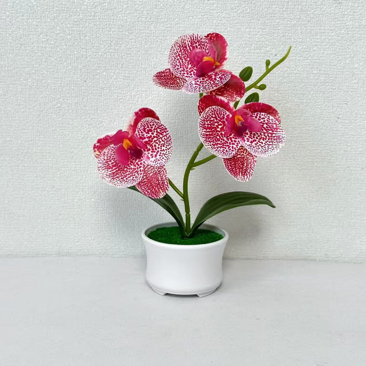 Artificial Orchid Plant for Indoor Home and Office Decor