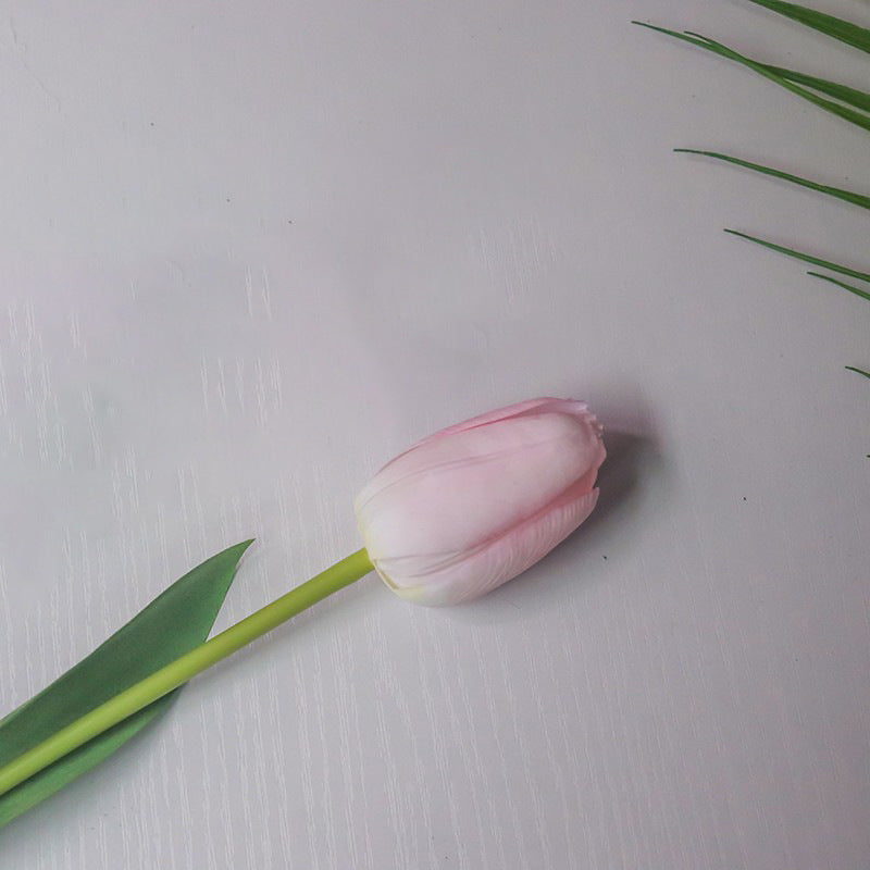Realistic Tulip Flower Stem