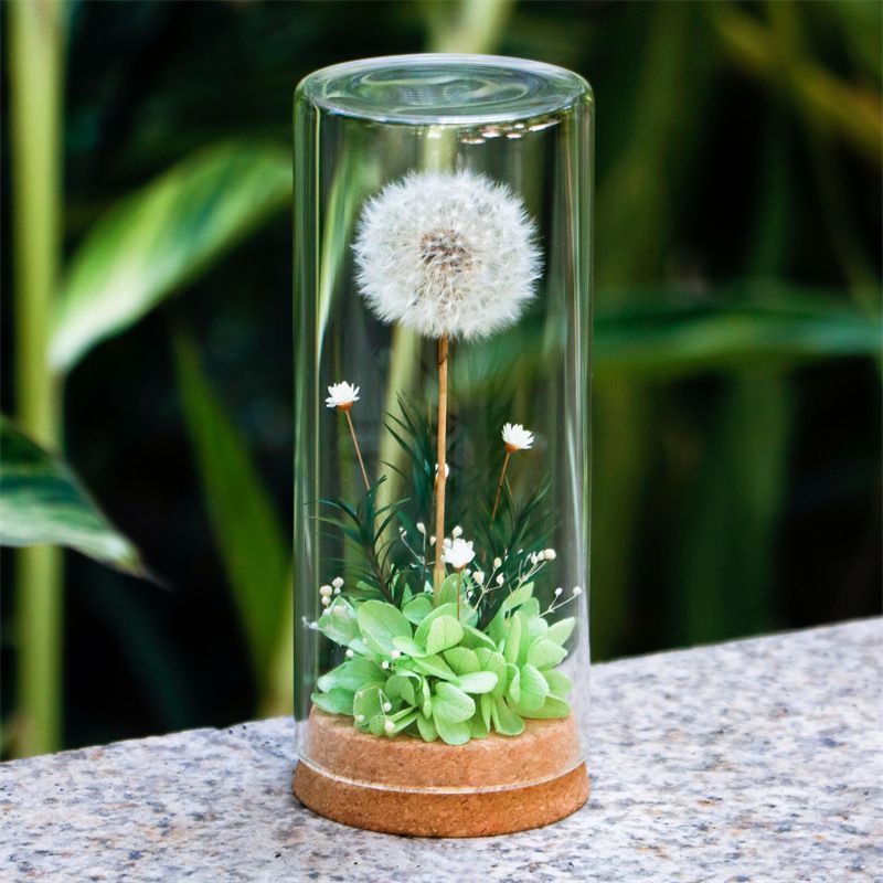 Decorative Glass Dome with Dandelion