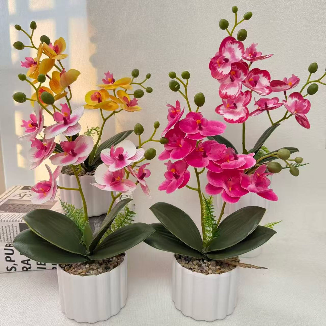 Home Decorative Artificial Orchid for Indoor Decorative Display