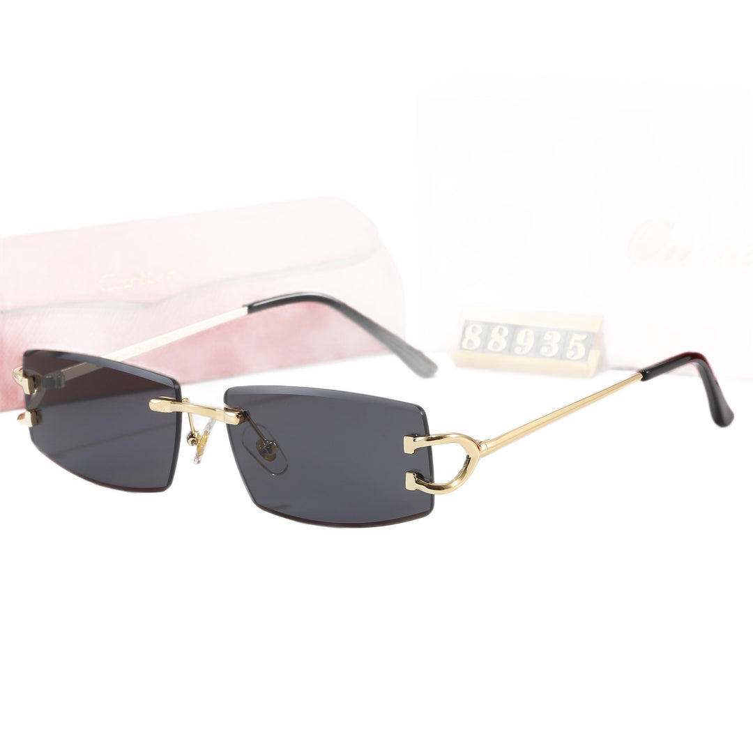Women Elegant Minimalist Sunglasses with Unique Metal Details Kalsten