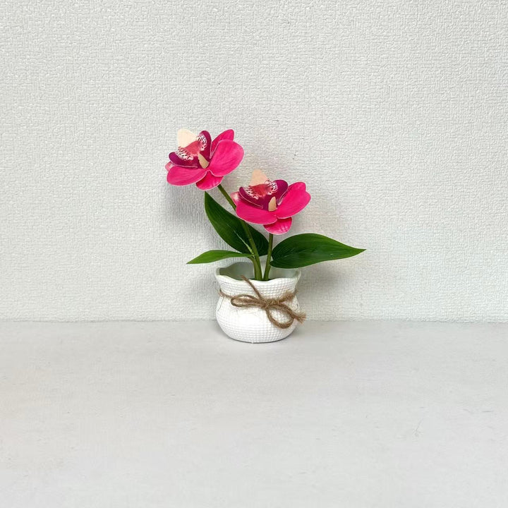 Decorative Potted Orchid Arrangement for Indoor Display