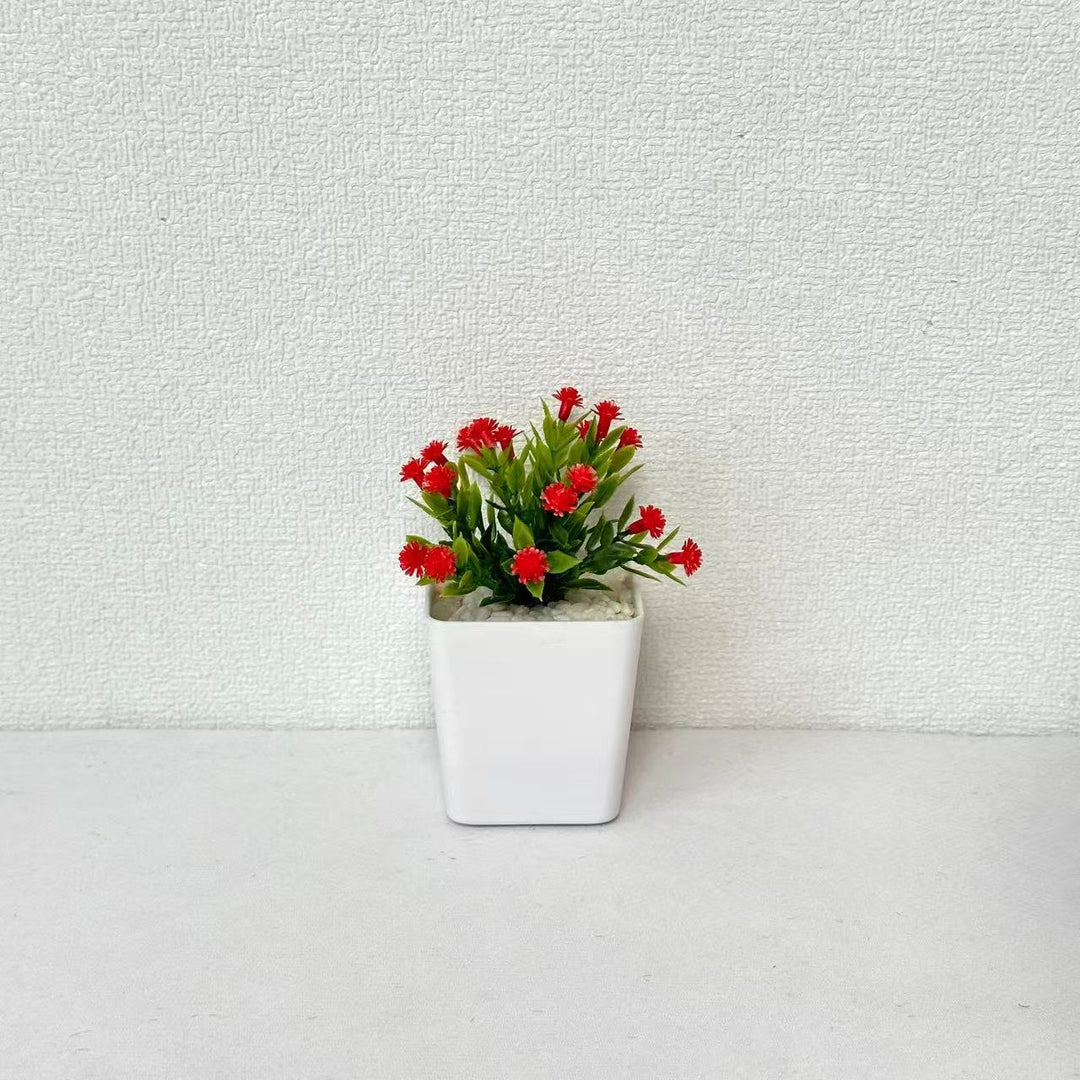 Decorative Mini Potted Plant Arrangement