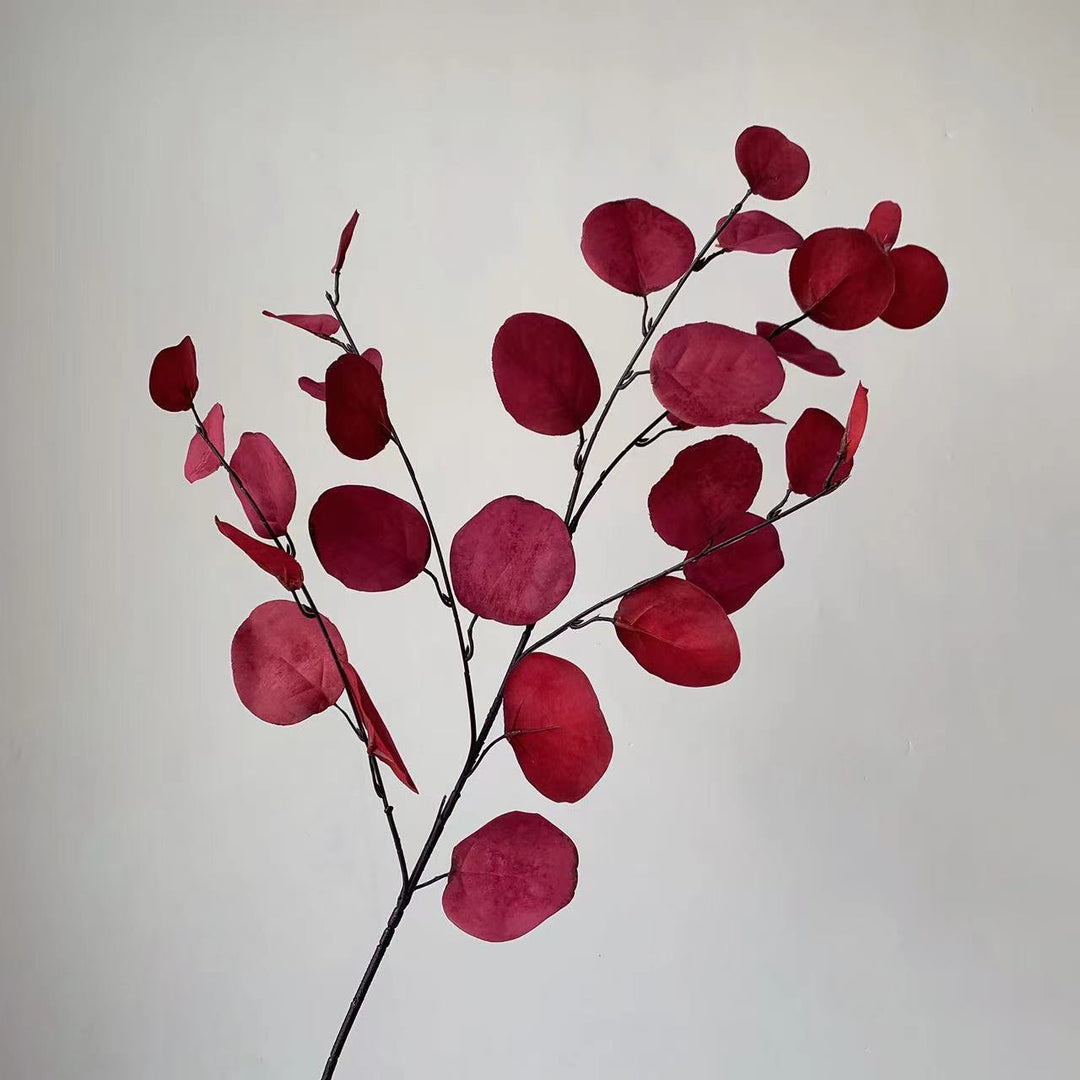 Decorative Eucalyptus Stem