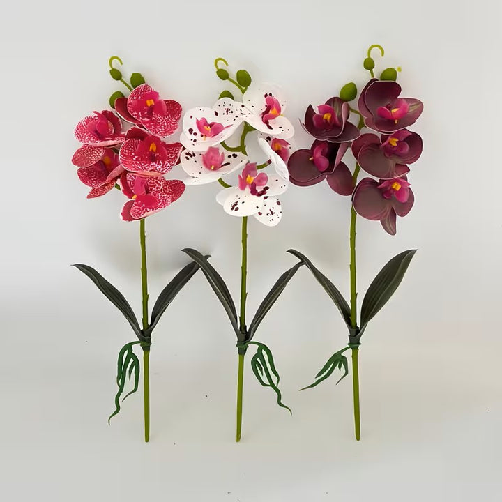 Luxurious Decorative Orchid Flower Arrangement