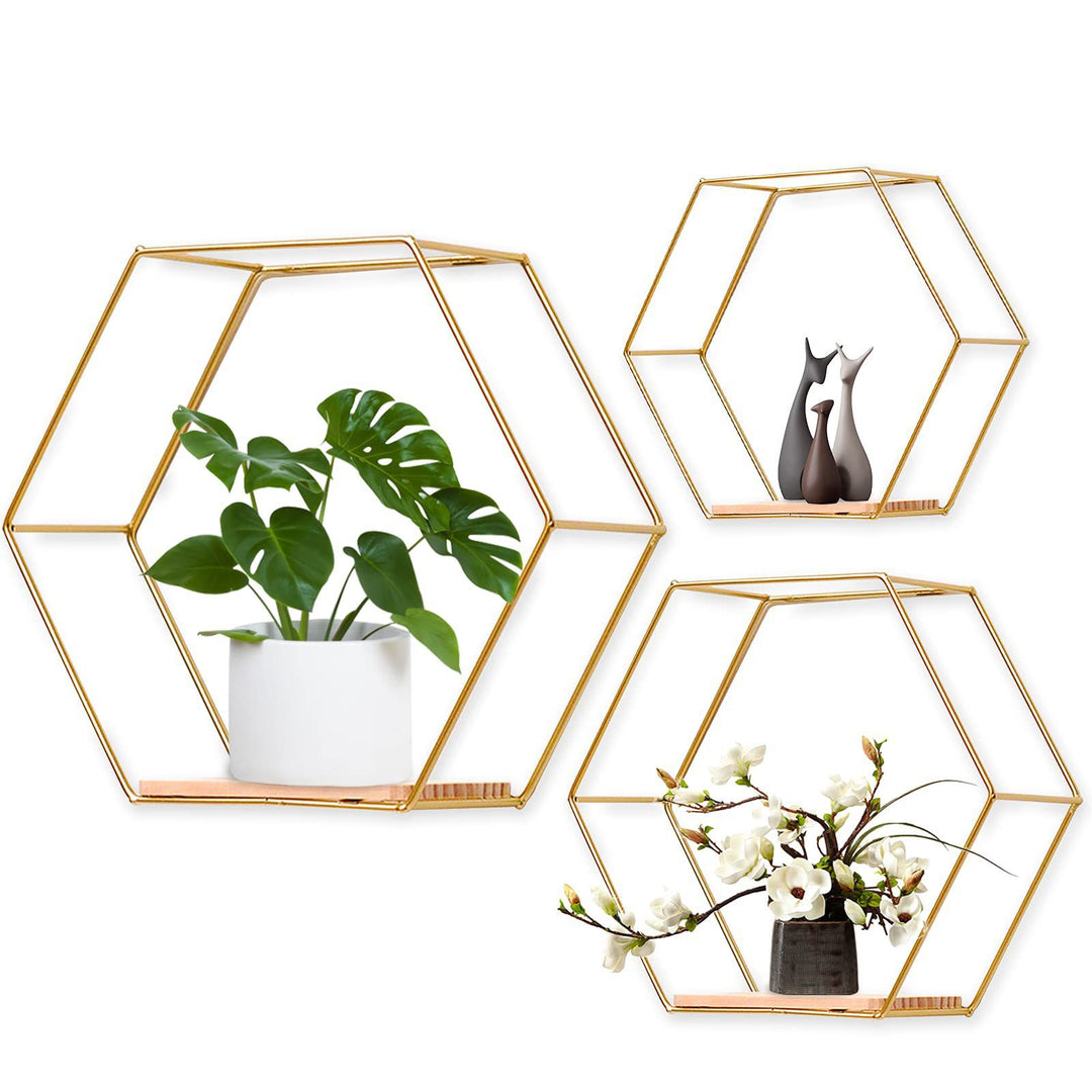 Hexagonal Wall-mounted Shelf