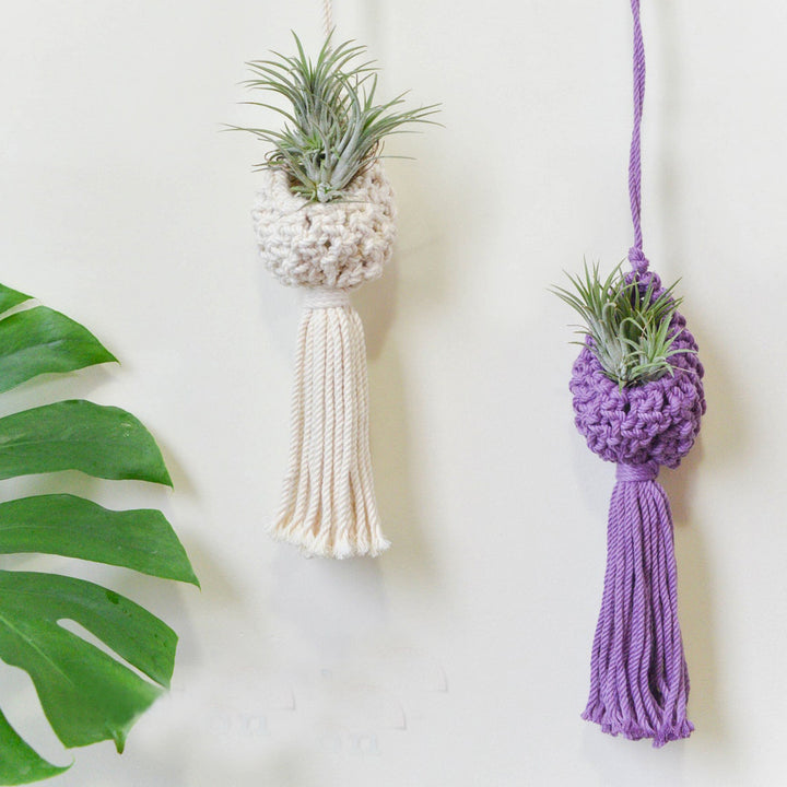Macrame Hanging Plant Holder with Decorative Tassel Kalsten