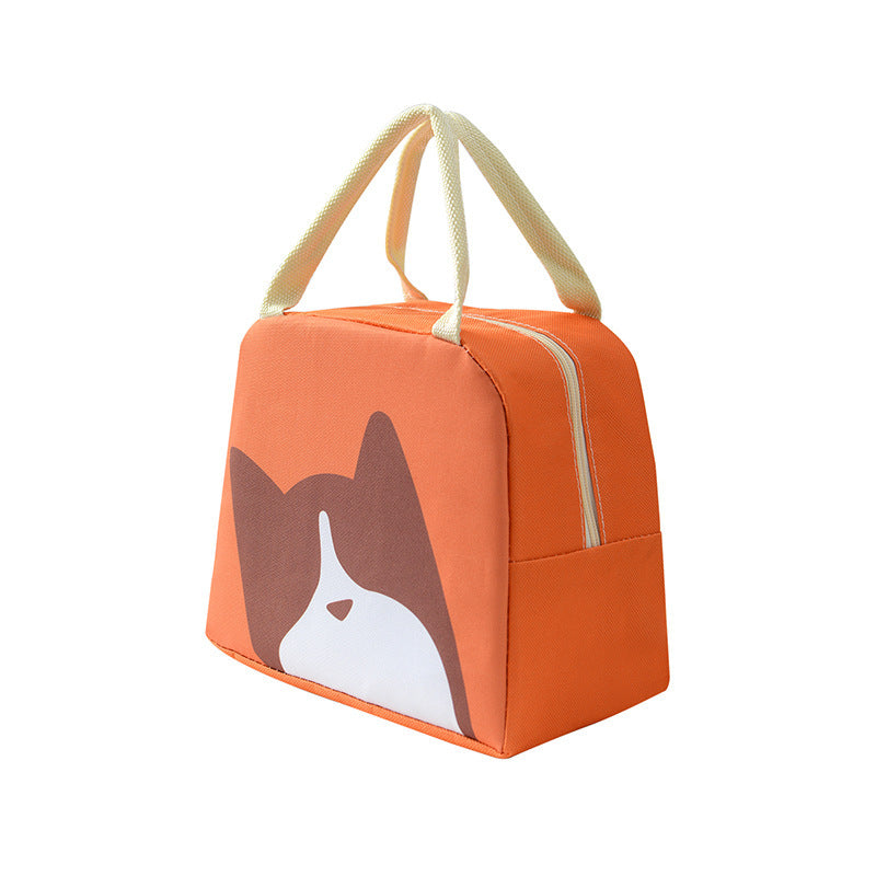 Insulated Lunch Cooler Bag