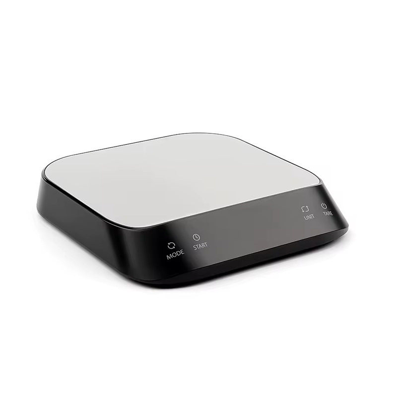 Precision Digital Scale