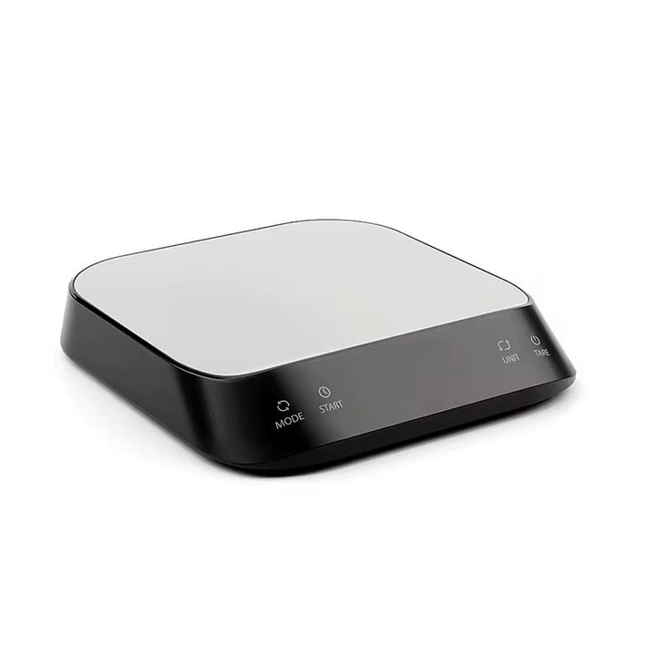 Precision Digital Scale