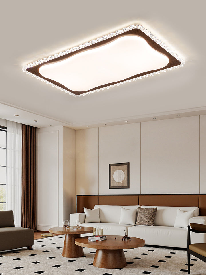 Ceiling Light