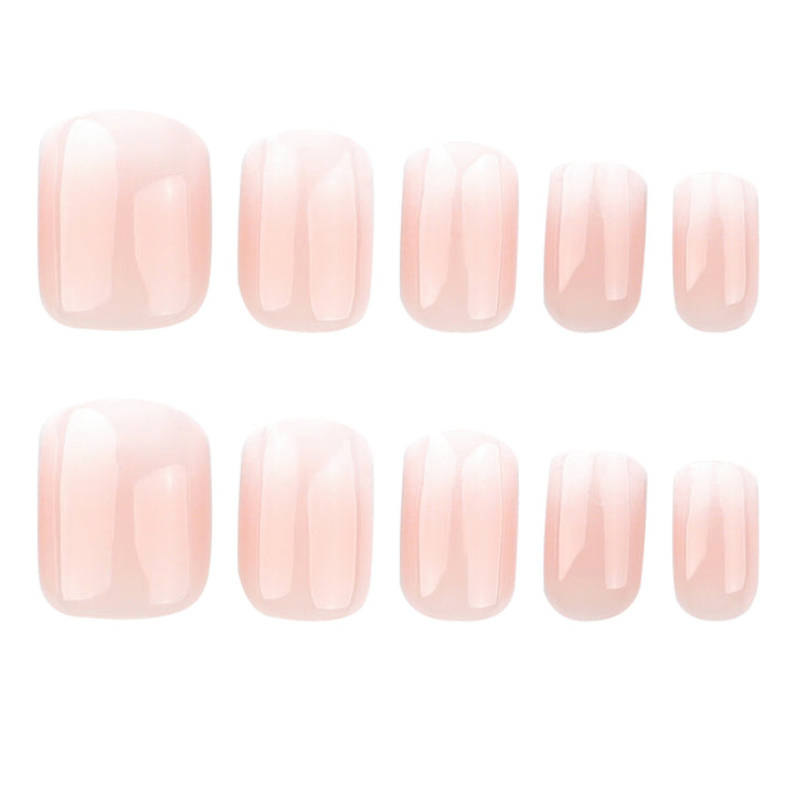 Elegant Ombre Nail Tips Kalsten