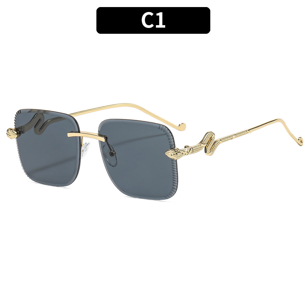 Fashionable Square Frame Sunglasses with Snake Accents