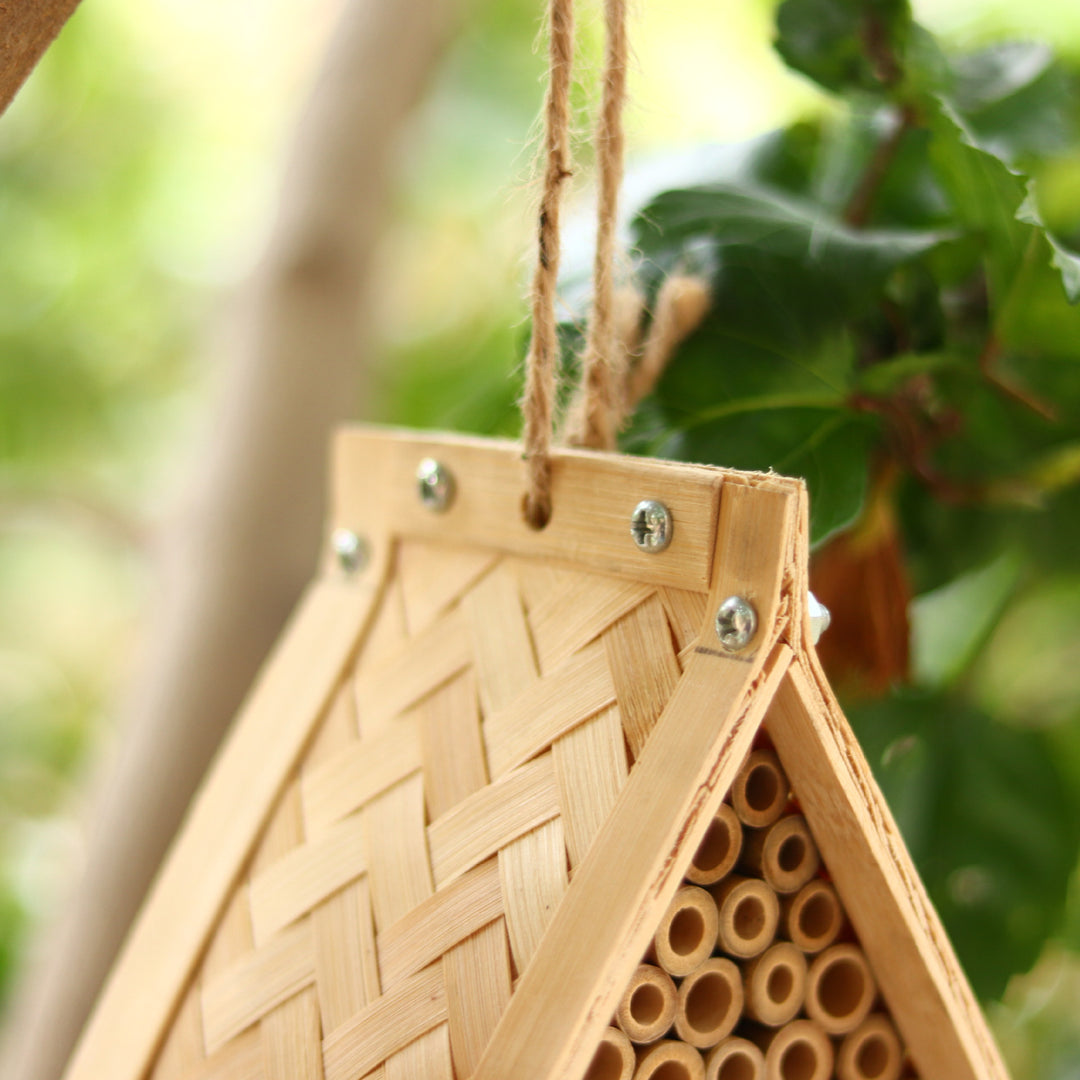 Eco-Friendly Insect Habitat Kalsten