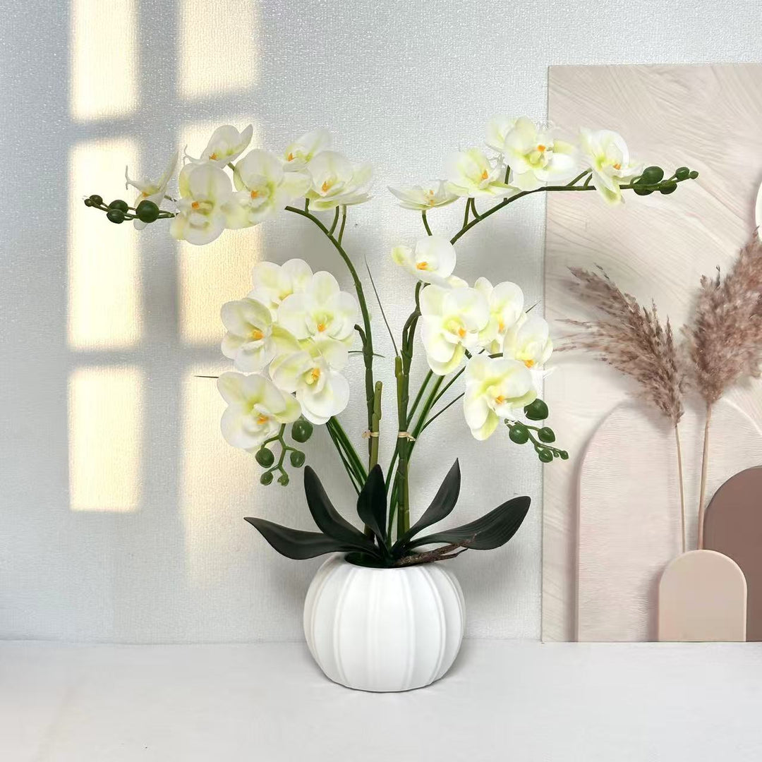 Elegant Realistic Orchid Arrangement
