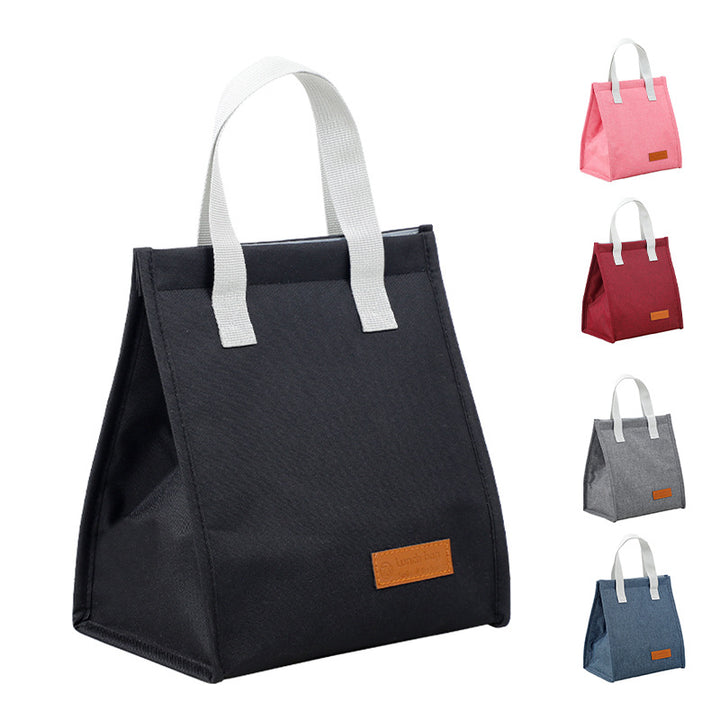 Insulated Stylish Lunch Carrier Kalsten