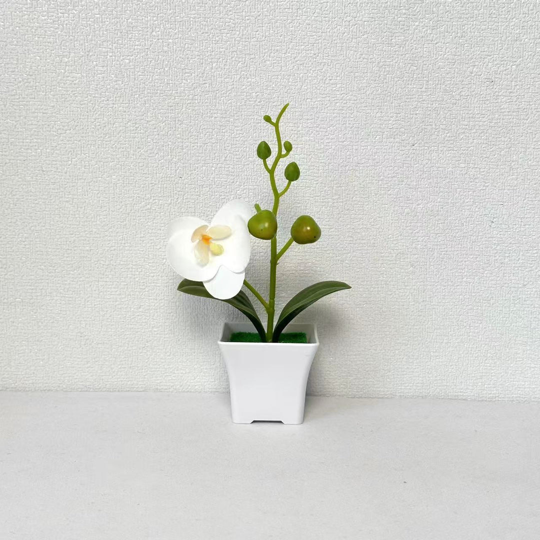 Lifelike Miniature Orchid Plant