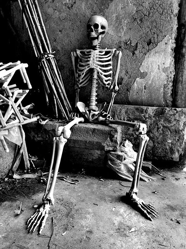 Realistic Decorative Skeleton Figures Kalsten