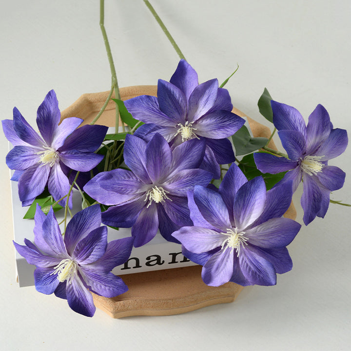 Decorative Floral Clematis Stem