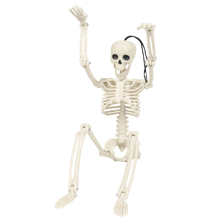 Realistic Posable Halloween Skeleton Figures Kalsten
