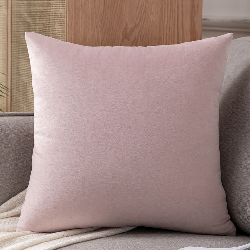 Plush Velvet Decorative Pillow