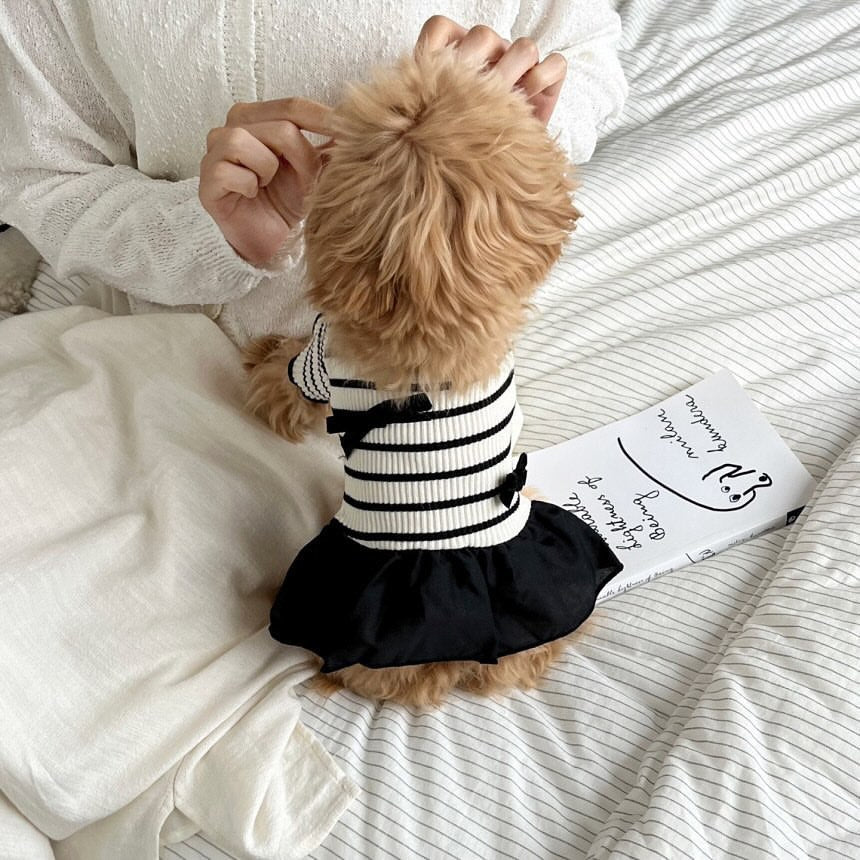 Ribbed Striped Knit Pet Dress with Ruffle Skirt &  Accent