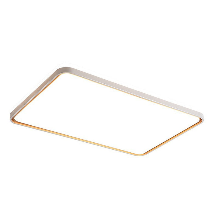 Modern Circular Ceiling Light