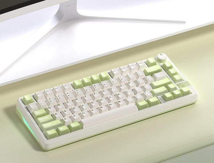Wireless Gaming Mechanical Keyboard Kalsten