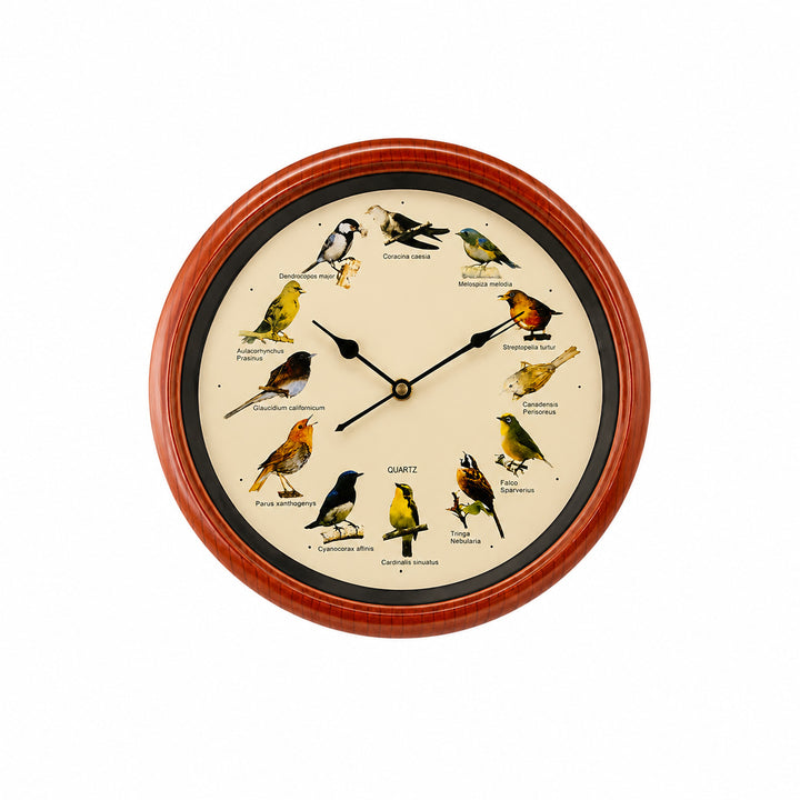 Wall clock with colorful bird design Kalsten