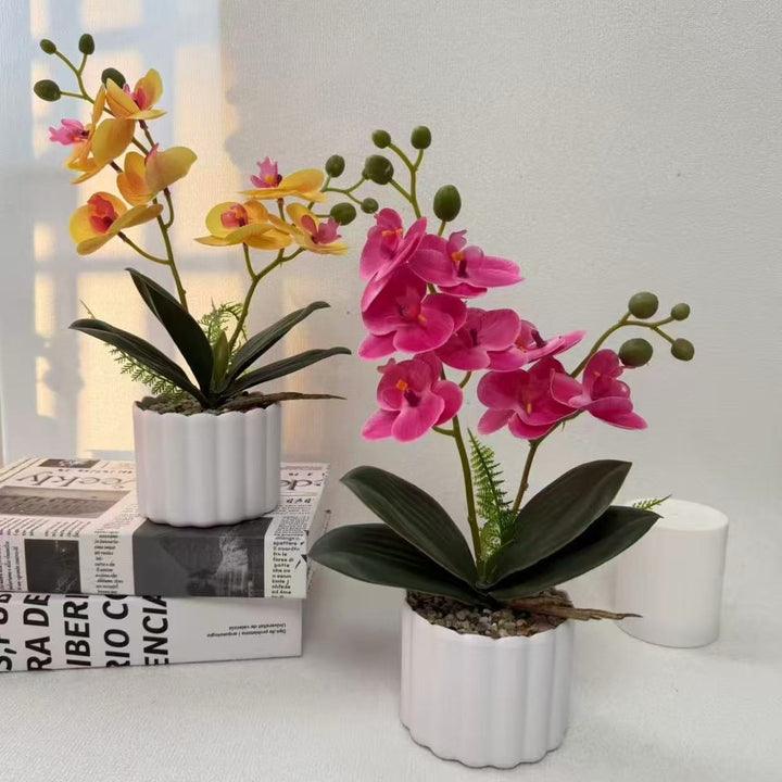 Home Decorative Artificial Orchid for Indoor Decorative Display