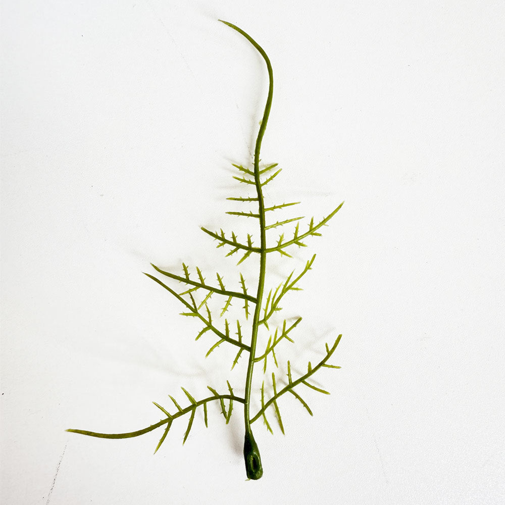 Realistic Fern Stem