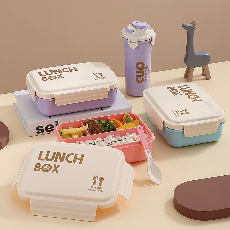 Stylish Insulated Lunch Box