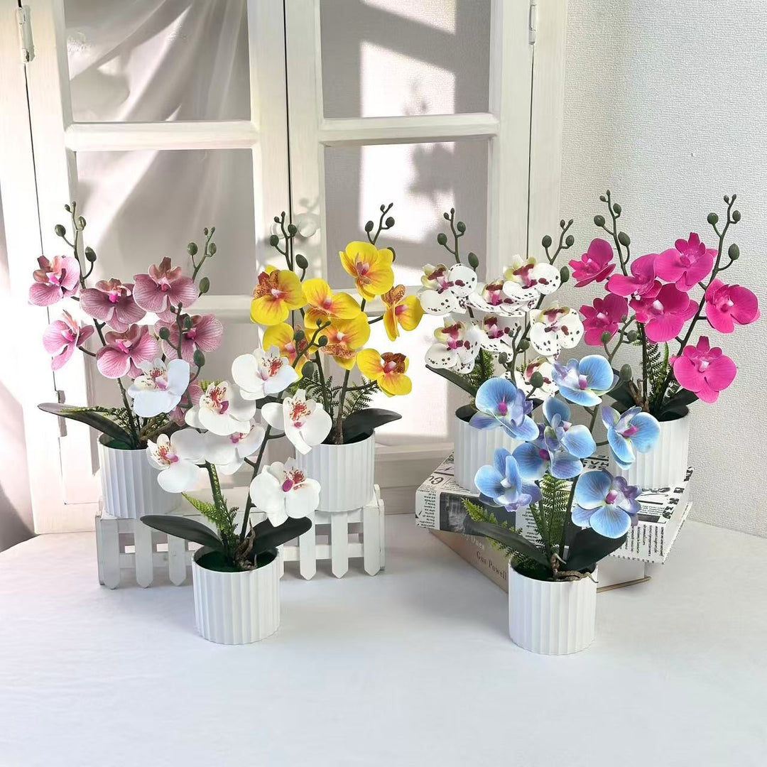 Realistic Orchid Plant Arrangement