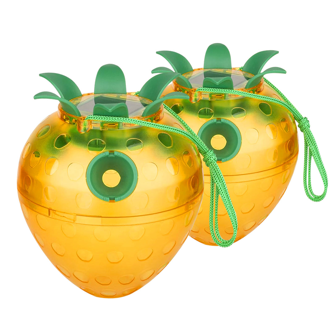 Attractive Insect Trap Kalsten