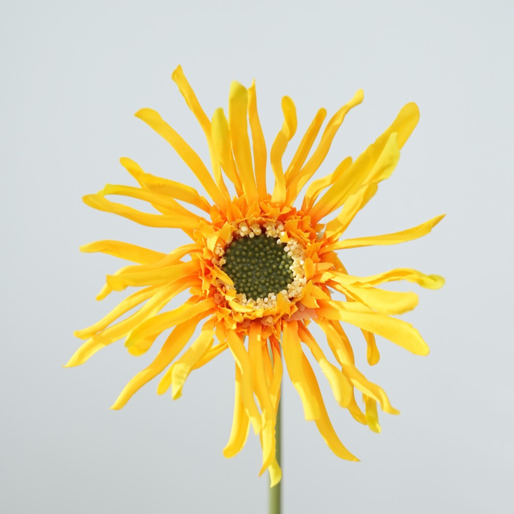 Realistic Sunflower Stem
