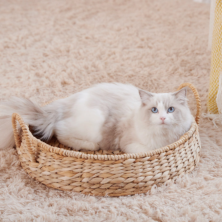 Cozy Cat Bed Kalsten