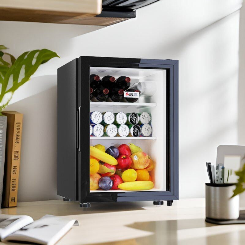 Mini Beverage Refrigerator Kalsten