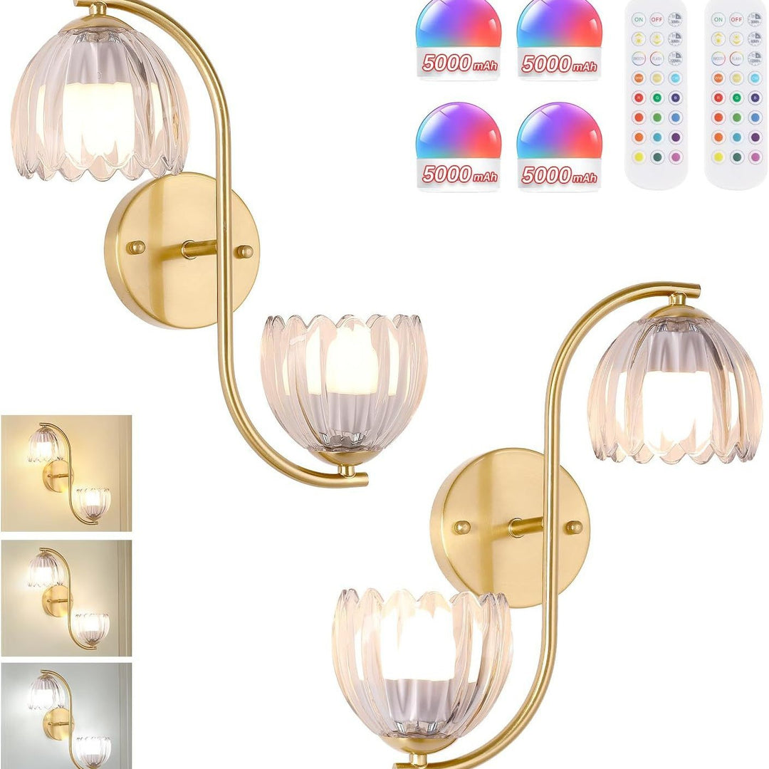 Decorative Wall Sconce
