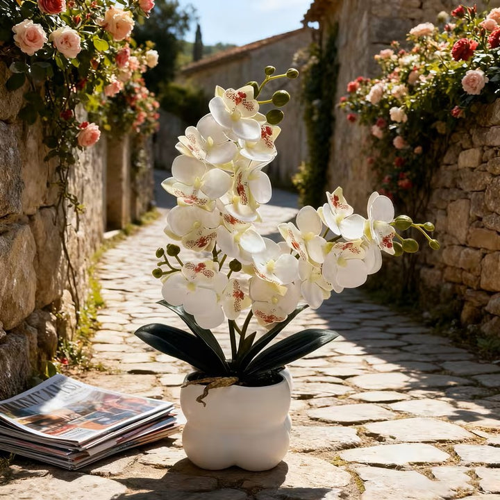 Lifelike Orchid Table Centerpiece