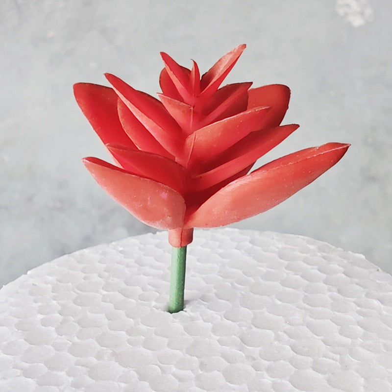 Decorative Succulent Stones Kalsten
