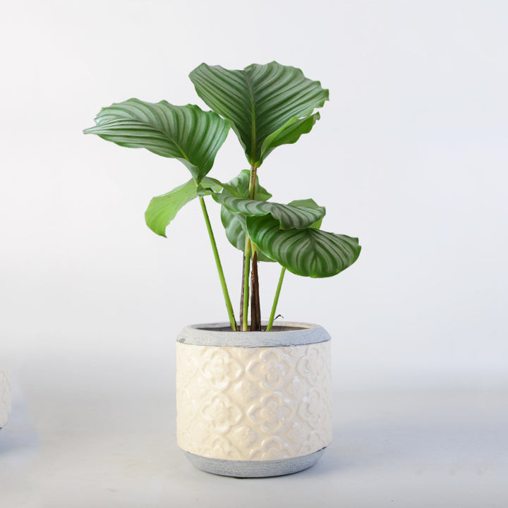 Flower pot Kalsten