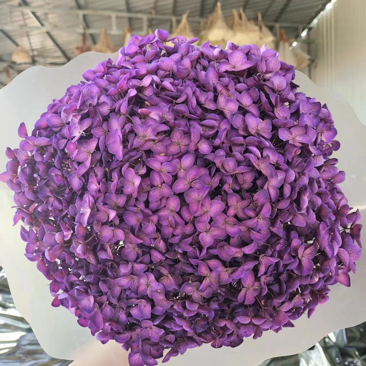 Dried Floral Petals