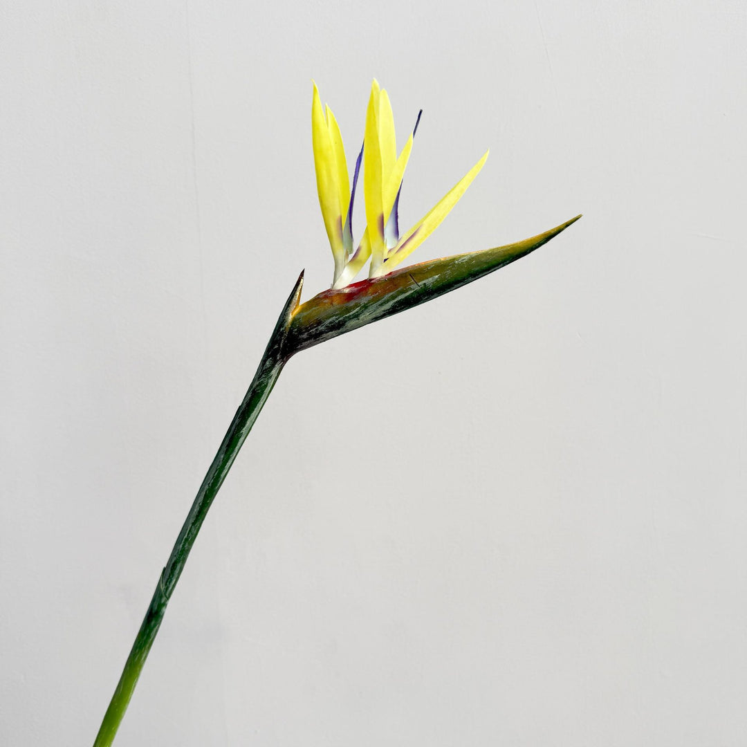 Decorative Flower Display