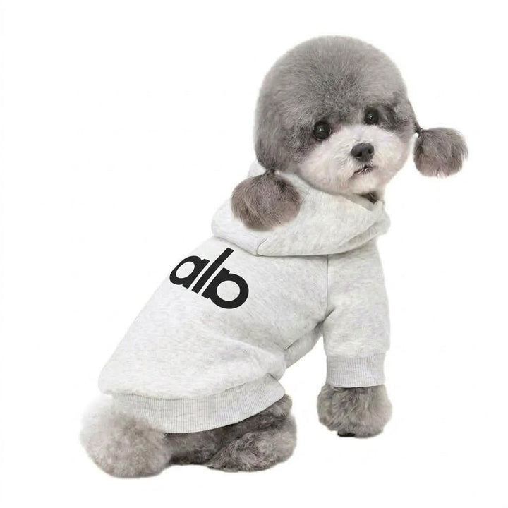 Small Dog Cotton-Blend Hooded Pullover Sweatshirt with Ribbed Cuffs and Logo Print
