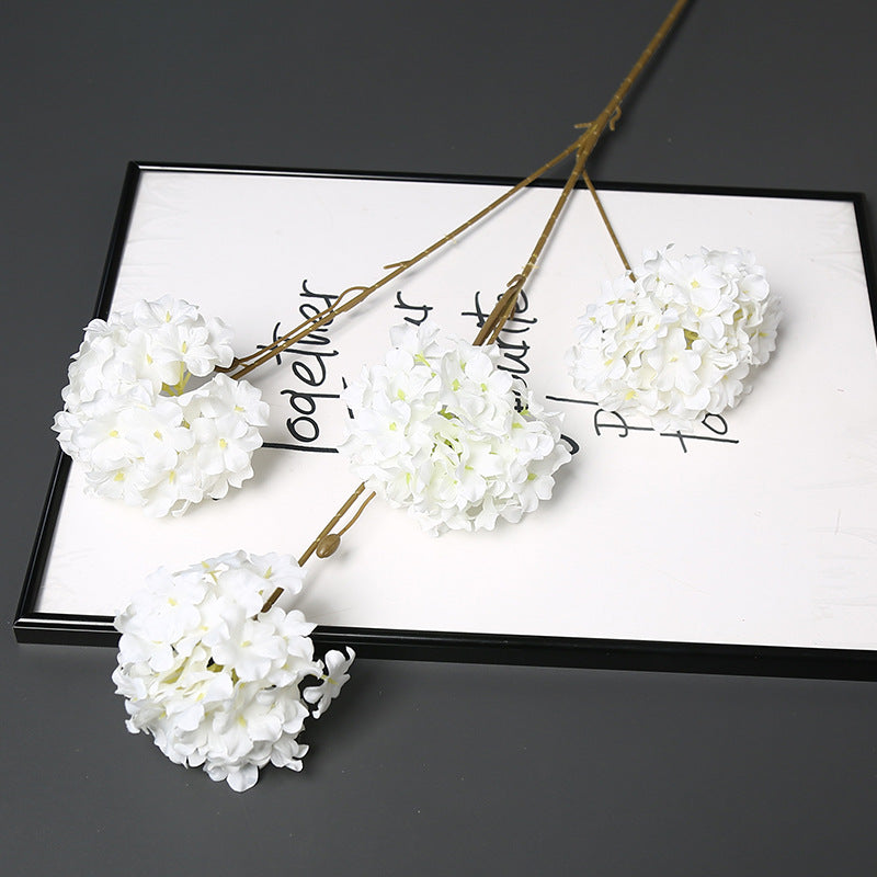 Decorative Dried Floral Stem for Home Decor