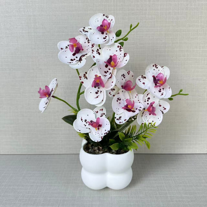 Lifelike Orchid Floral Display