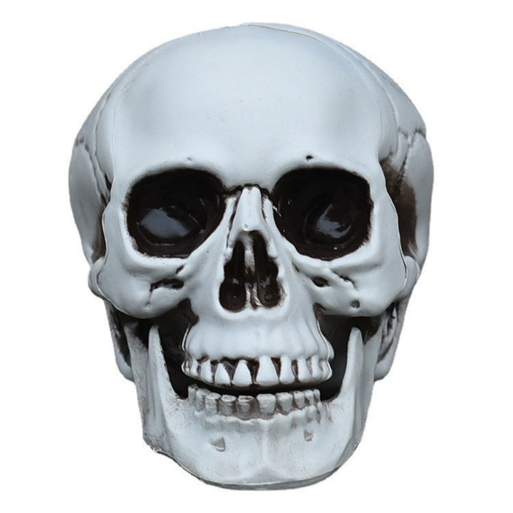 Decorative Realistic Skull Figurine Kalsten