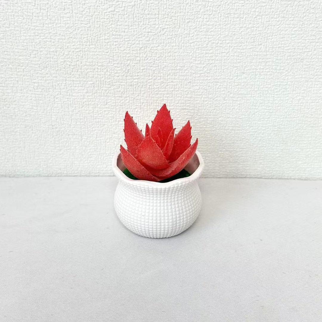 Decorative Faux Cactus Arrangement