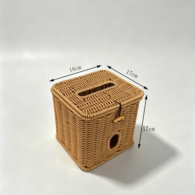 Stylish Woven Storage Box Kalsten