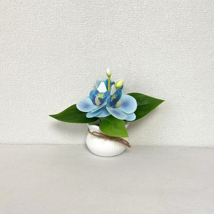Decorative Miniature Orchid Arrangement